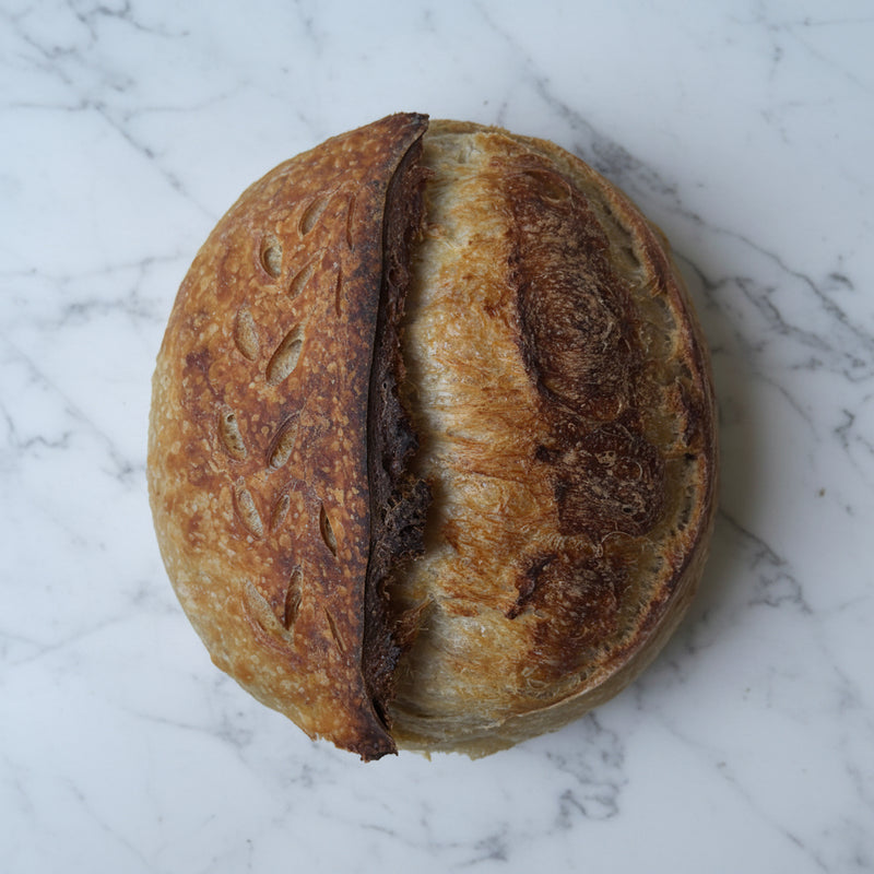 Whole Wheat Sourdough Loaf